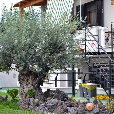 Pompei Gryllus Bed & Breakfast Exterior photo