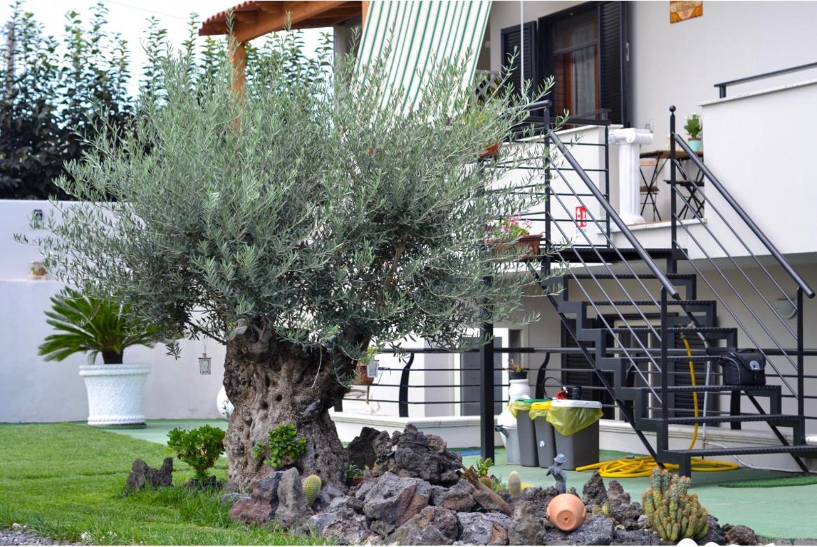 Pompei Gryllus Bed & Breakfast Exterior photo